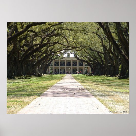 Oak Alley Plantation Poster (Voorkant)
