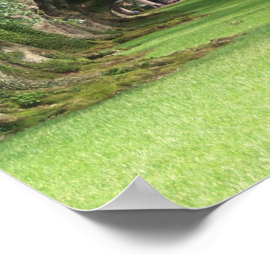 Oak Alley Plantation Poster (Hoek)