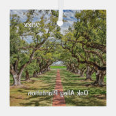Oak Alley Plantation, Southern Live Oak Trees Glas Ornament (Achterkant)