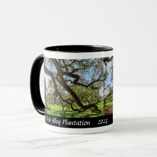 Oak Alley Plantation, Zuidelijke Levende Eikebomen Mok