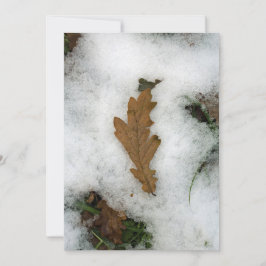 Oak-bladeren liggen op de sneeuwvakantiekaart feestdagenkaart