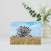 Oak-boom en Tall Grass Prairie Briefkaart (Staand voorkant)