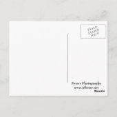 Oak-boom en Tall Grass Prairie Briefkaart (Achterkant)