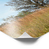 Oak-boom en Tall Grass Prairie Foto Afdruk (Hoek)