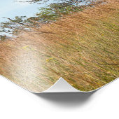 Oak-boom en Tall Grass Prairie Foto Afdruk (Hoek)