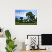 Oak Boom en weide Landscape Foto Poster (Thuiskantoor)