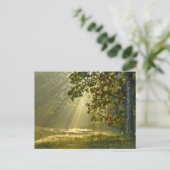 Oak-boom met zondensbloem briefkaart (Staand voorkant)