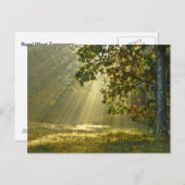 Oak-boom met zondensbloem briefkaart (Voorkant / Achterkant)