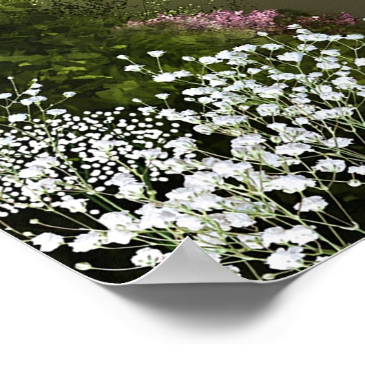 Oak-boom Poster voor bosbouw (Hoek)