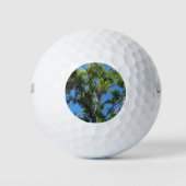 Oak-boom tegen blauwe hemel golfballen (Voorkant)