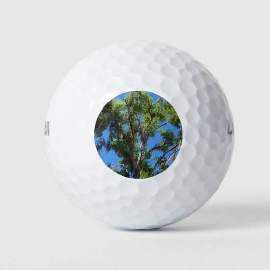 Oak-boom tegen blauwe hemel golfballen (Voorkant)