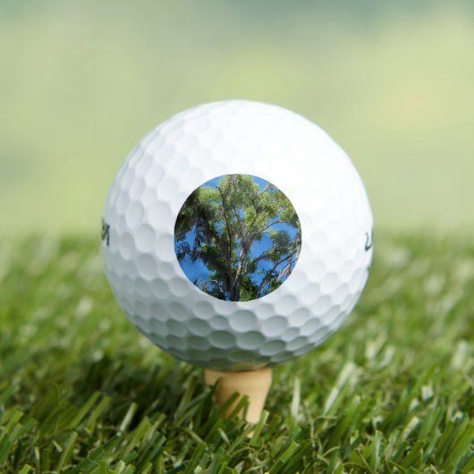 Oak-boom tegen blauwe hemel golfballen (Insitu Shirt)