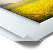 Oak Boom Wit 2 Ruitenlampje Poster (Hoek)