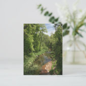 Oak Creek 1 Briefkaart (Staand voorkant)