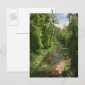 Oak Creek 1 Briefkaart (Voorkant / Achterkant)