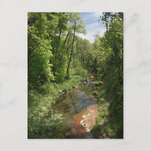 Oak Creek 1 Briefkaart