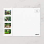 Oak Creek Canyon Briefkaart (Achterkant)