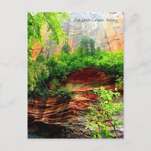 Oak Creek Canyon Briefkaart (Voorkant)