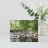 Oak Creek en Mallard Ducks Natuur Fotografie Briefkaart (Staand voorkant)