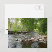 Oak Creek en Mallard Ducks Natuur Fotografie Briefkaart (Voorkant / Achterkant)