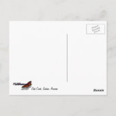 Oak Creek en Mallard Ducks Natuur Fotografie Briefkaart (Achterkant)