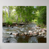 Oak Creek en Mallard Ducks Natuur Fotografie Poster (Voorkant)