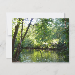 Oak Creek I in Sedona Arizona Natuur Fotografie