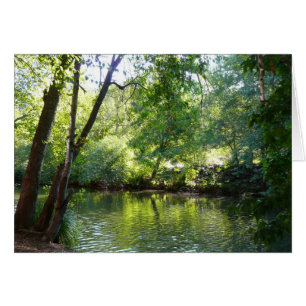 Oak Creek I in Sedona Arizona Natuur Fotografie