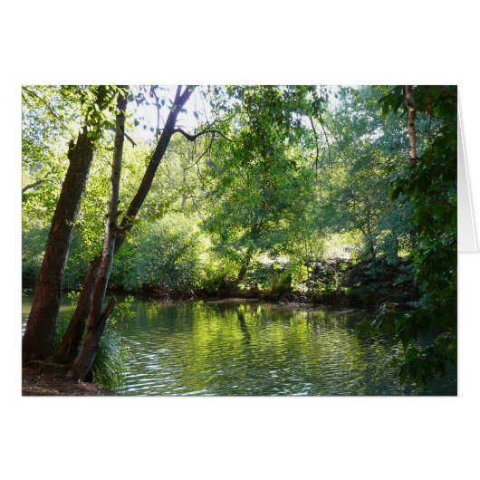 Oak Creek I in Sedona Arizona Natuur Fotografie (Voorkant Horizontaal)