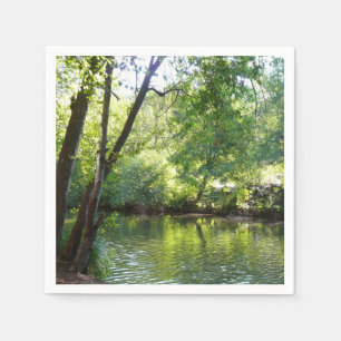 Oak Creek I in Sedona Arizona Natuurfotografie Servetten