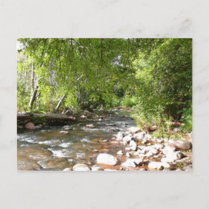 Oak Creek II in Sedona Arizona Natuurfotografie Briefkaart