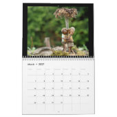 Oak Folk 2022 Kalender (Mar 2027)