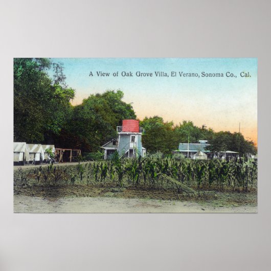 Oak Grove Villa SceneEl Verano, CA Poster (Voorkant)