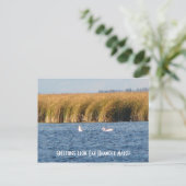Oak Hammock Marsh Briefkaart (Staand voorkant)