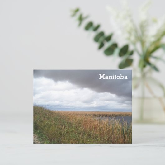 Oak Hammock Marsh Briefkaart (Staand voorkant)