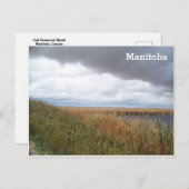 Oak Hammock Marsh Briefkaart (Voorkant / Achterkant)