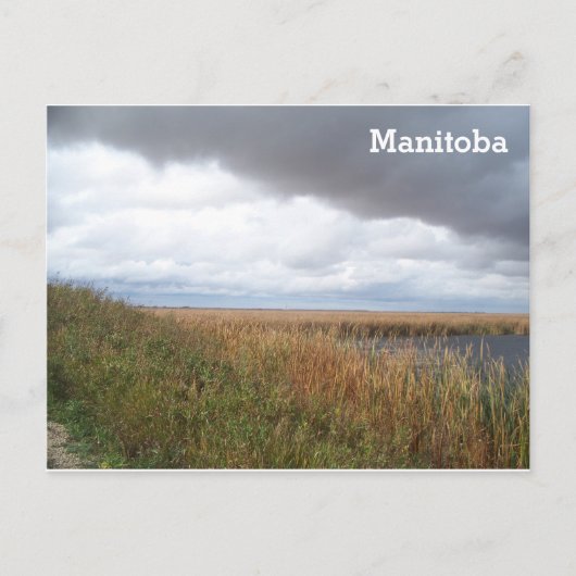 Oak Hammock Marsh Briefkaart (Voorkant)