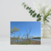 Oak Harbour, Ohio Briefkaart (Staand voorkant)