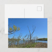 Oak Harbour, Ohio Briefkaart (Voorkant / Achterkant)