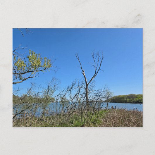 Oak Harbour, Ohio Briefkaart (Voorkant)