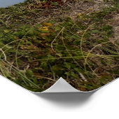 Oak Island Lighthouse, North Carolina Poster (Hoek)