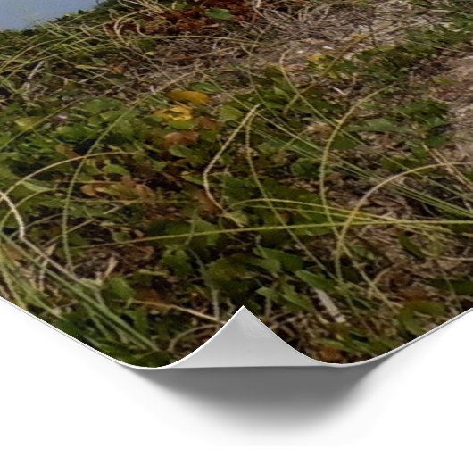 Oak Island Lighthouse, North Carolina Poster (Hoek)