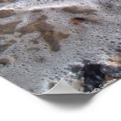 Oak Island, North Carolina - zand en schelpen Poster (Hoek)