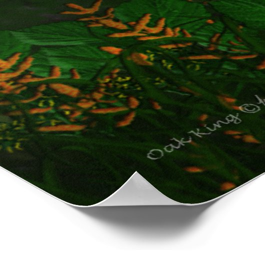 Oak King Poster (Hoek)