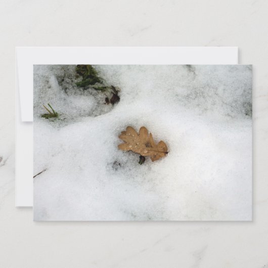 Oak Leaf ligt op de sneeuwfeestkaart Feestdagenkaart (Voorkant)