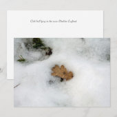 Oak Leaf ligt op de sneeuwfeestkaart Feestdagenkaart (Voorkant / Achterkant)