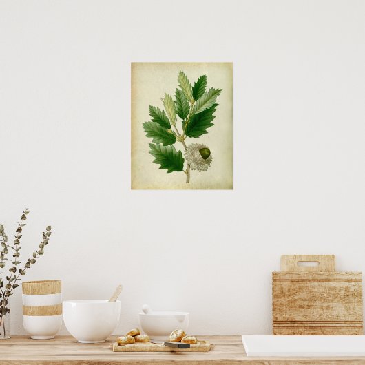 Oak Leaf no.8 Housewarming gift Poster (Keuken)