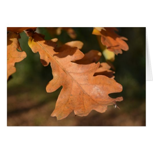 Oak Leaves Kaart (Voorkant Horizontaal)