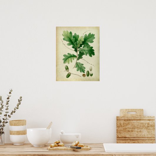 Oak Leaves no.4 Farmhouse wall art. Poster (Keuken)