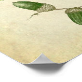 Oak Leaves no.4 Farmhouse wall art. Poster (Hoek)